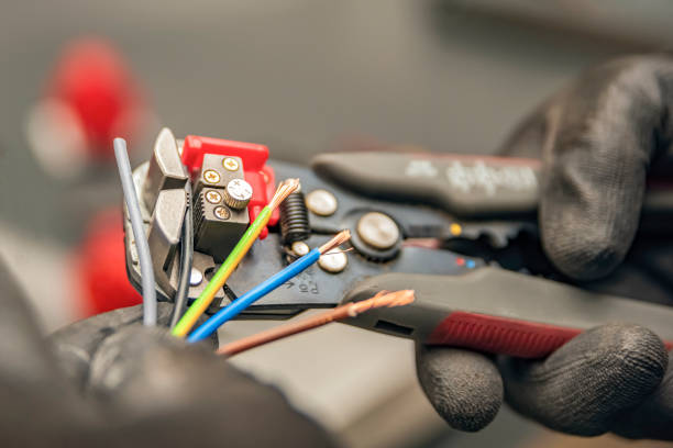 Best Electric Panel Repair  in Bemiss, GA